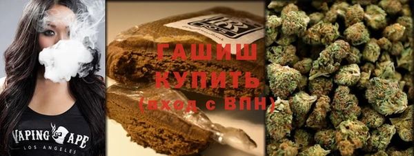 индика Горнозаводск